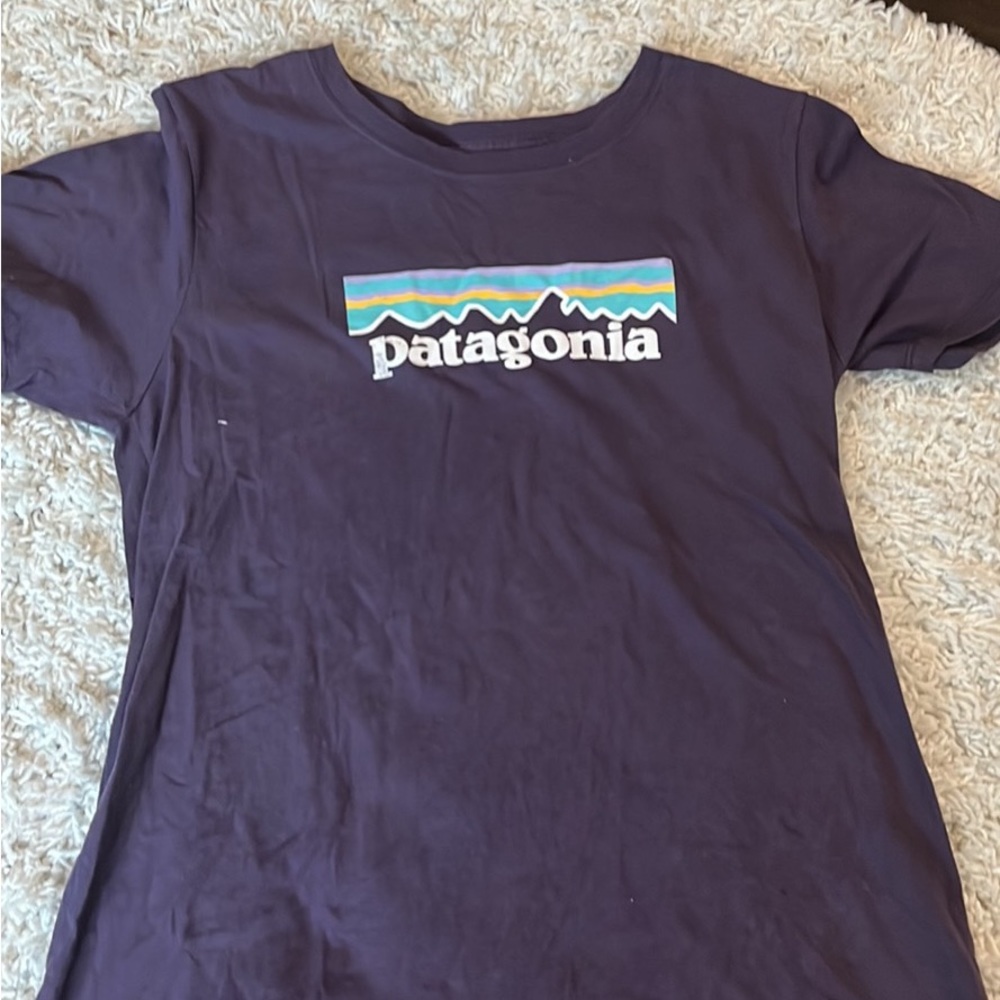 Patagonia t shirt
